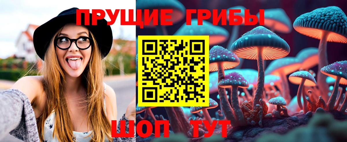 Псилоцибиновые грибы Psilocybine cubensis  Галлюциногенные грибы Cubensis  Истра  Вход с VPN 